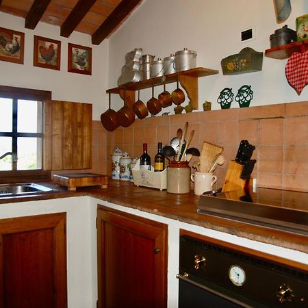 Appartamento Con Patio Privato E Giardino Tra Pisa E Firenze ปาลายา ภายนอก รูปภาพ